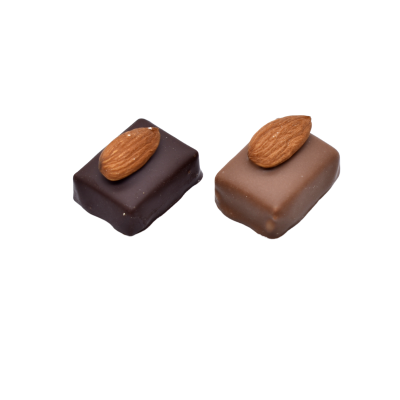 AMANDINE NOIR (praliné)