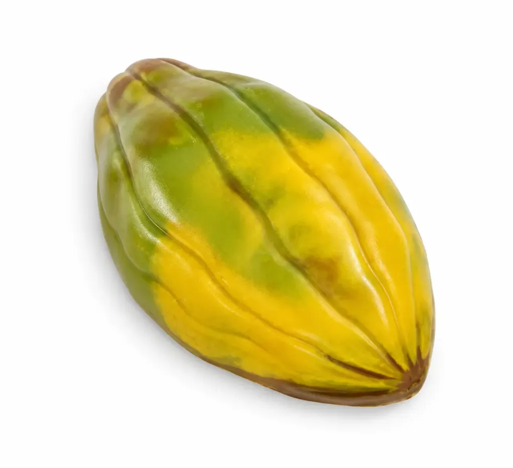 Cocoa pods mix 2,5kg