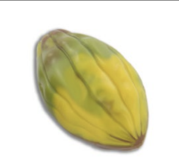 Feves cacao colorées 2,5kg