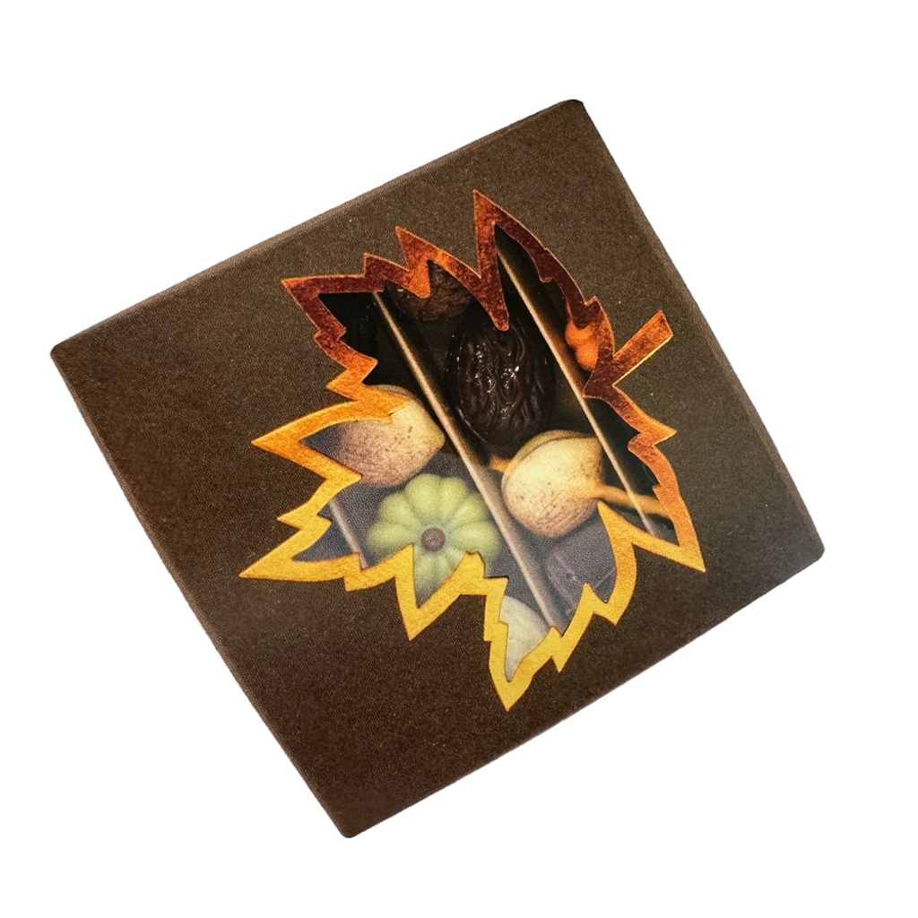 Boite feuille marron x 12pc