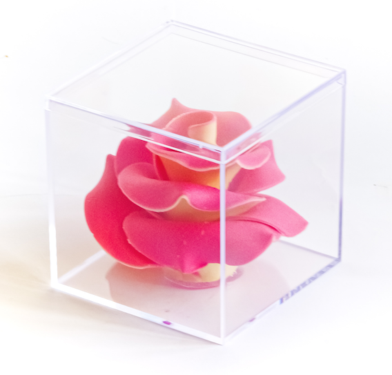 FLOWER CRISTAL chocolat (8pc)