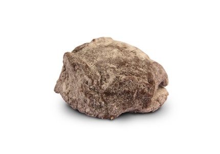 Truffel Champagne