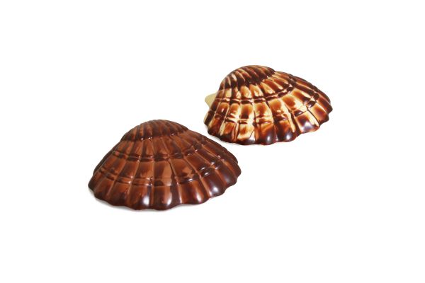 Zeeschelp Assortiment - 10cm (8x100gr)