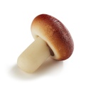Rusty toadstool marzipain 1,8kg