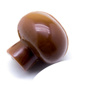 Mushroom Milk (praliné)1kg